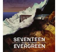 Seventeen Evergreen - Steady on, Scientist [Import]