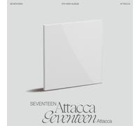 Seventeen - Attacca -Ltd-