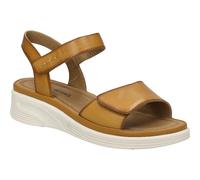 Sevran 01 amber 37