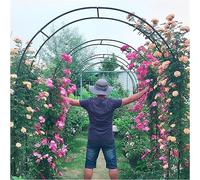 SEVSO Arche De Jardin en Métal 120Cm 240Cm 300Cm 350Cm 180Cm Large Arche De Mariage Arceau À Rosiers Plante Grimpantes,Vert,W2.4M*H2.2M