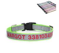 SEVSO Collier réfléchissant pour chien avec nom et numéro de téléphone - Peut être utilisé avec une corde de traction (herbe verte)