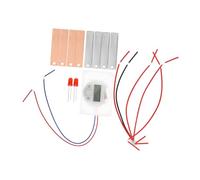 SEWACC 2 Ensembles Kit Batterie Fruit DIY pour Expérience Scientifique Scolaire avec Électrodes Zinc Cuivre Jeu Éducatif pour Développer Compétences Pratiques et Curiosité Scientifique
