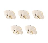 SEWACC 5 Pièces Modèle Anatomique de Crâne de Chat en Pvc Beige Guide Complet, Taille Portable, pour Exposition en Aquarium et Décoration Intérieure