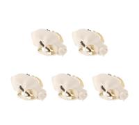 SEWACC 5 Pièces Modèle Anatomique Réaliste de Crâne de Chat en Pvc Beige Guide Complet, Taille Portable pour Démonstrations en t Décoration D'aquarium