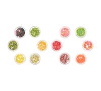 SEWACC Coffret de 12 Couleurs Paillettes Fruits en Argile Polymère pour Décoration D'ongles DIY Légère et Originale, Accessoires Nail Art pour Manucure Professionnelle