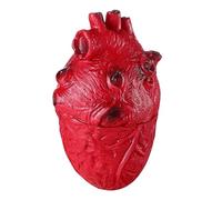 SEWACC Décorations d'halloween Halloween Faux Coeur Simulation Coeur Ornement Effrayant Sanglant Réaliste Coeur pour Zombie Fête Maison Hantée Accessoire d'halloween