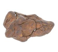 SEWACC Échantillon de Météorite Véritable 2-3 CM Spécimen Scientifique en Météorite Lithosidérite Ornement Pédagogique pour Décoration et Enseignement Objet Éducatif Scientifique