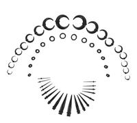 SEWACC Kit Écarteurs d'Oreilles en Corne de Buffle Cônes en Acrylique Couleur Noire Ensemble Piercing Oreilles 6 Pièces Plugs et Tunnels Légers pour Étirement Confortable