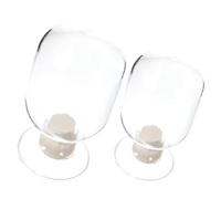 SEWACC Lot de 2 Bocaux de Stockage en Verre Transparent 125Ml et 250Ml Contenant d'Allumettes de Cloche Flacons Décoratifs pour Maison Bureau et Restaurant