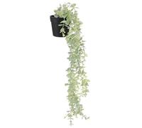 SEWACC Suspendre en Rotin Blanc à 9 Branches Plante Artificielle Eucalyptus Décoration Murale Intérieure et Extérieure pour Maison Bureau et Jardin Plante Suspendue sans Entretien