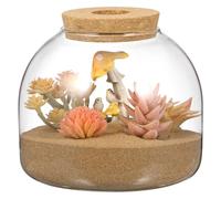 SEWACC Terrarium en Verre avec Bouchon en Bois, Petit Récipient pour Plantes Hydroponiques, Décoration Miniature pour Bureau Ou Maison.