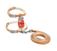 SEWOART 1 Ensemble Laisse De Chat Cloche Peluche Collier Calmant pour Chat Mignon Mangeoire Animal De Compagnie Race Jouets Accessoires Chaton Chien Lapin Orange Polyester
