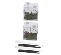 SEWOART 2 Ensembles Terrarium araignée Tarentule enclos d'araignée Terrarium Insecte Terrarium pour Petits Reptiles Contenant Verre conteneur d'élevage conteneur de Reptiles Acrylique