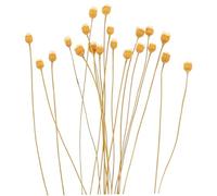 SEWOART 20Pcs Diffuseur D'Arôme De Rotin Bâtons De Diffuseur De Parfum De Roseau en Bois Bâtons De Diffuseur D'Huile De Diffuseur De Pièce Parfumés D'Arôme