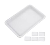 SEWOART 6Pièces Plateau Eau Rectangulaire pour Pot de Fleurs Soucoupe Durable pour Plantes Accessoire de Jardinage Pratique