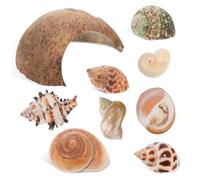 SEWOART Abri en Coquille De Noix De 1 Ensemble De Cachettes Coquilles De Conque Cachette pour Animaux De Compagnie pour Reptiles Grotte De pour Tortues