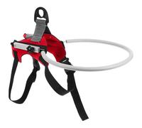 SEWOART Anneau Anti-Collision pour Chien Aveugle Protection Extérieure Réfléchissante Polyester Confortable et Ajustable Dispositif de Sécurité et Confiance pour Animaux Malvoyants