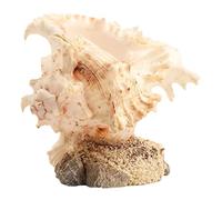SEWOART Décoration Forme De Coquille De Conque pour Maison Un Mariage Une Fête Thème Plage Un Aquarium