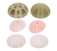 SEWOART Lot de 6 Ornements d'Aquarium Naturels Décorations d'Oursins Multicolores Coquillages et Conques Marins Accessoires Décoratifs pour Aquarium et Habitat Couleur Aléatoire