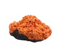 SEWOART Ornement de Artificiel Résine pour Aquarium Décor de Réservoir de Poissons Figurine Réaliste pour Créer Un Paysage Unique Votre Aquarium