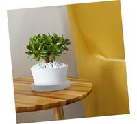 SEWOART Plateau de Pot Céramique Gris Support pour Petits Pots de Fleurs Base pour Plantes et Cactus Accessoire Décoratif Intérieur