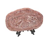 SEWOART Spécimen De Dinosaure en Pierre Véritable Ornement Dinsecte pour Collection De Boîtes Décoratives