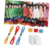 Sewroro 100 Pièces Fils Colorés pour Bracelets avec Cartes de Rangement Fil à Broder Coton Doux Multi pour Organisation et