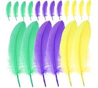 Sewroro 300 pièces Lot Plumes Doie Naturelles Colorées pour Décoration DIY Accessoires pour Mariage Carnaval Bijoux et Décorations Artisanales