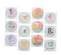 Sewroro Autocollants Mensuels pour Bébé, Kit 12 Pièces Créatif en Papier Écologique, Accessoires Photo pour -né, Décoration Anniversaire et Souvenirs de Croissance