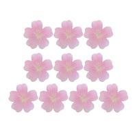 Sewroro Blocs-notes Autocollants Écriture Lisse Lot de 10 en Papier Rose au Design Réaliste de Fleurs Printanières et Format Portable et Fêtes de Printemps pour Bureau