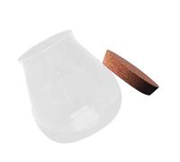 Sewroro Bocal Terrarium Bouchon en Liège Pot en Verre Soufflé Transparent pour Bricolage Artistique et Décoration Intérieure Moderne