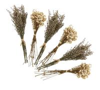 Sewroro Bouquet de Fleurs Séchées Gypsophile 6 Pièces, Léger et Portable, Décoration Champêtre pour Activités en Plein Air et Fêtes d'anniversaire Couleur Aléatoire