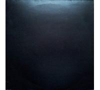 SEX PISTOLS - Anarchy in the U.K. / No Fun / EMI [12" VINYL]