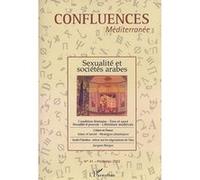Sexualité et sociétés arabes Tome 41 - Jean-Christophe Ploquin - L'harmattan - broché - Revue