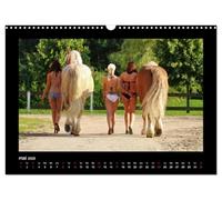 Sexy Horse Girls 2026 - Des filles sexy et des chevaux de sang froid puissants ! (Calendrier mural 2026 DIN A3 horizontal), CALVENDO calendrier mensuel