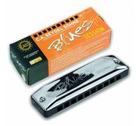 SEYDEL Session Standard En Bas D Harmonica
