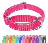 Seyezo Martingale - Collier martingale coulissant sans boucle réglable pour chiens de petite, moyenne et grande taille - Collier martingale réfléchissant et résistant en nylon résistant - Taille XS -