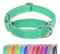 Seyezo Martingale Collier martingale réglable sans boucle pour chiens de petite, moyenne et grande taille - Collier martingale réfléchissant et résistant en nylon résistant - Taille M - Turquoise