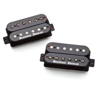 Seymour Duncan SH-BWSET Humbucker Black Winter HB Micro pour Guitare Electrique Noir