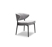 SFANIIX Chaise de Bureau Chaise de Salle à Manger Luxe légère Italienne Restaurant d'hôtel négociation département Vente ménage Loisirs
