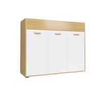 SFANIIX Classeur Vertical, cloison de Bureau, classeurs Bas, Armoire à dossiers, Support de Bureau for imprimante Servant d'étagère de Rangement(1200 * 400 * 1000)