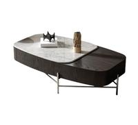 SFANIIX Table Centrale Moderne Table Basse créative for Petit Appartement, Combinaison de Table Salon Moderne et Luxueuse Table de Bout Basse