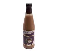 SFB Laboratoires - Jus de Mangoustan 500ml