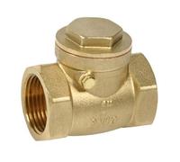 Clapet de retenue horizontal à battant - filetage 15/21 SFERACO