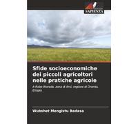 Sfide socioeconomiche dei piccoli agricoltori nelle pratiche agricole: A Robe Woreda, zona di Arsi, regione di Oromia, Etiopia