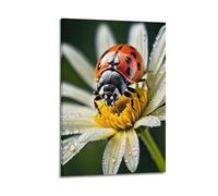 sfjjkh Poster animal coccinelle sur marguerite avec gouttes de rosée - Impression sur toile pour salon, chambre à coucher - 20 x 30 cm - Style cadre