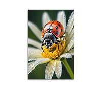 sfjjkh Poster animal coccinelle sur marguerite avec gouttes de rosée - Impression sur toile pour salon, chambre à coucher - 30 x 45 cm - Style sans cadre