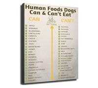 SFNGXXAG Dog Safe Food Chart Complete Guide to Toxic and Healthy Human Foods Canvas Poster for Pet Owner Kitchen(Framed,08x12inch(20x30cm))
