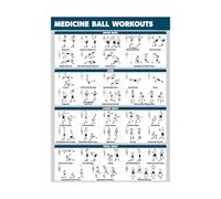 SFNGXXAG Gym Wall-Art Medicine Ball Chart - Laminated Workout for Slam Balls, Wall Balls - Features 20 Exercises for Strength & Endurance(Unframed,16x24inch(40x60cm))