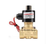 SFOCQVISH Électrovanne 2WK, vanne d'eau normalement Ouverte 220 V, vanne de Commutation, vanne de régulation à Bobine entièrement en cuivre 2WK025-08-AC220V/2WK025-08-DC24V(2WK160-15-AC220V)